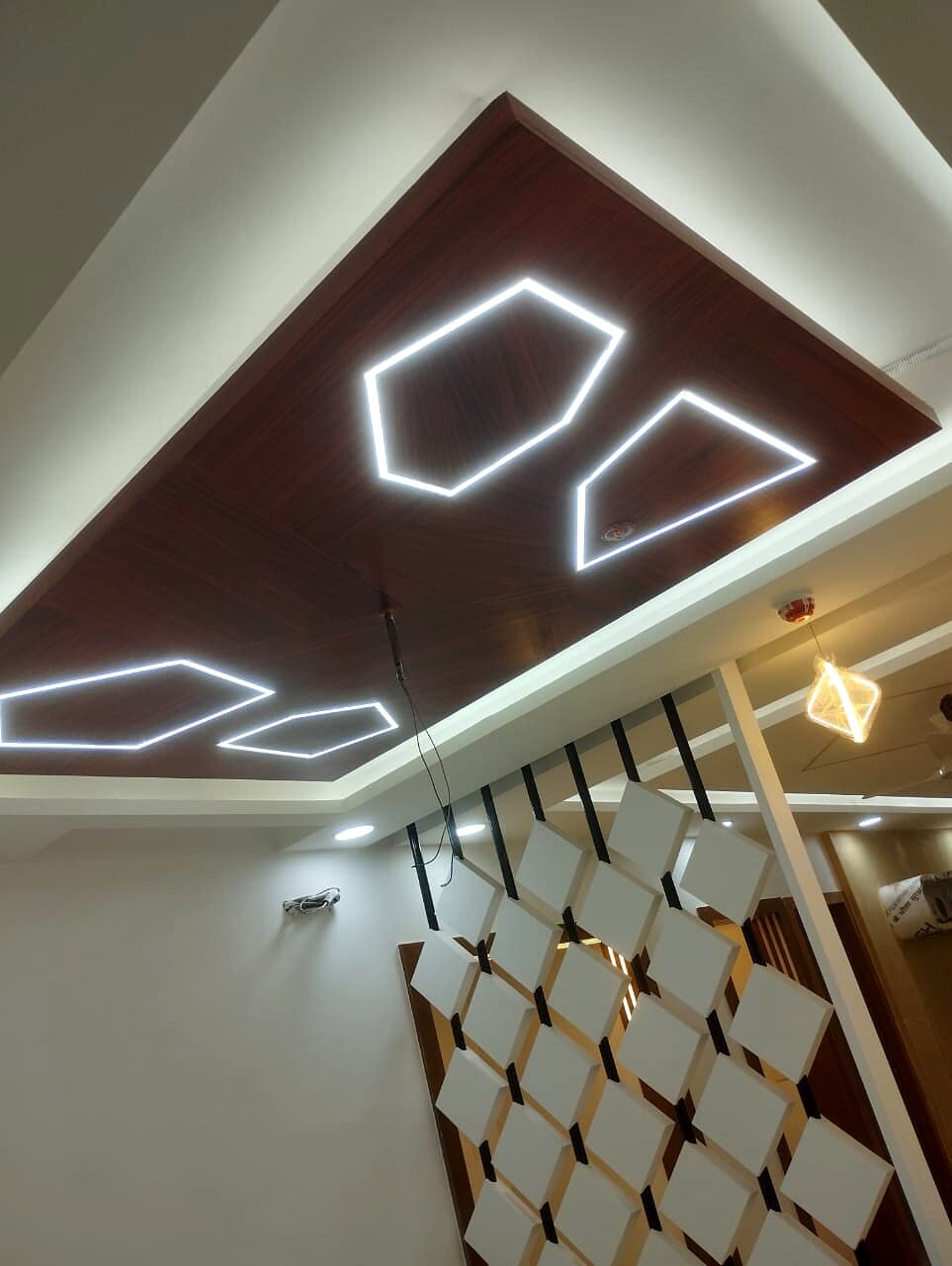 Premium room divider with geometric ceiling lighting and wood detailing